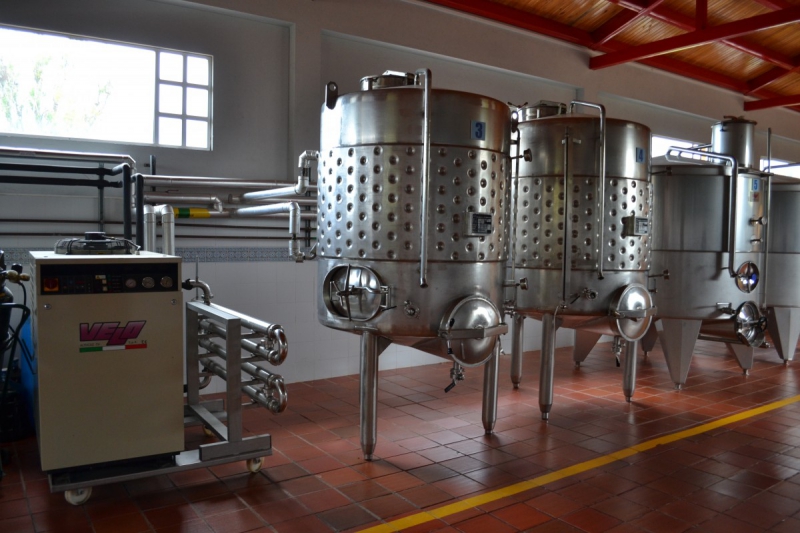 cave-BEAUSOLEIL-min_wine_production_cantine_winery_drink_alcohol_vine_beverage-902036